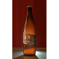 Adjuvant Chef Gingembre 6x50cL