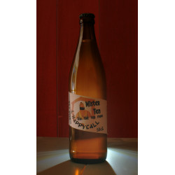 Mister Tea 6 x 50cL
